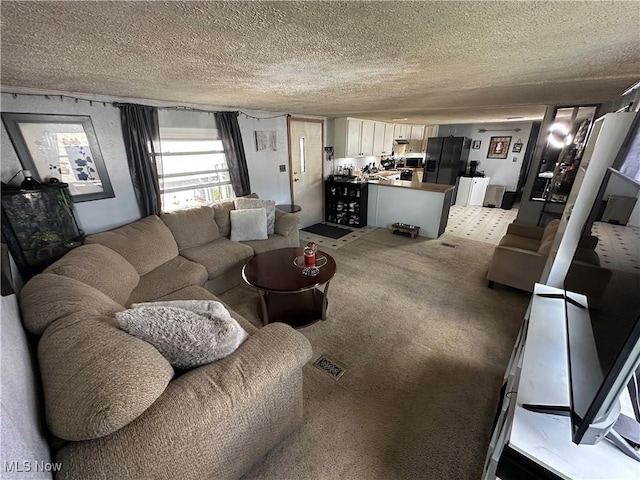 living room with carpet and a textured ceiling