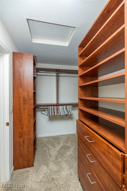 walk in closet with carpet