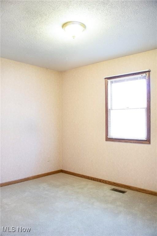 spare room with carpet floors and a textured ceiling