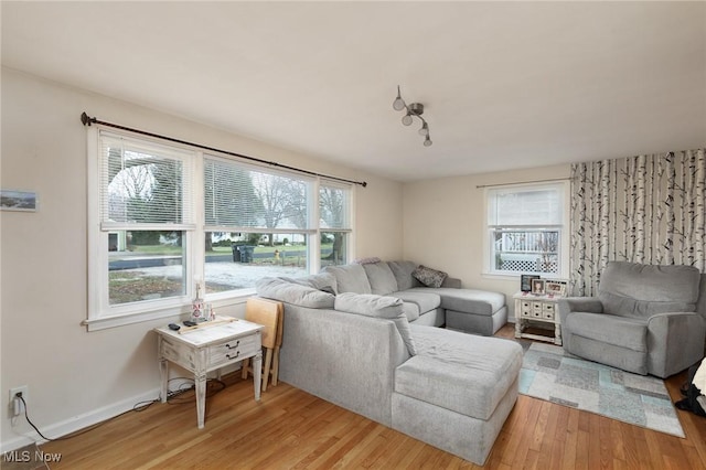 living room with a wealth of natural light and light hardwood / wood-style flooring