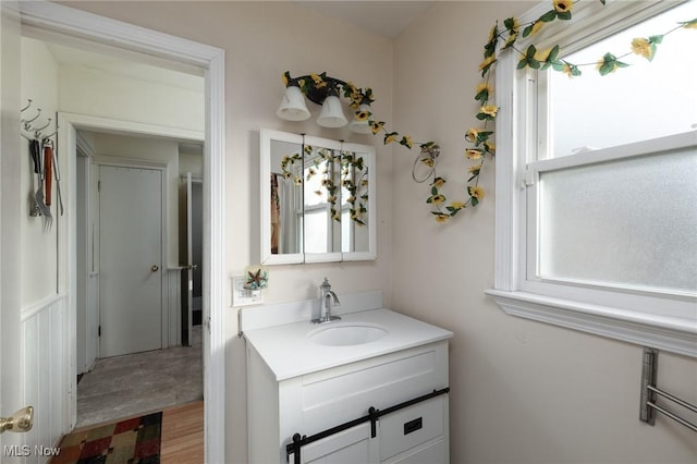 bathroom with vanity, hardwood / wood-style flooring, and plenty of natural light