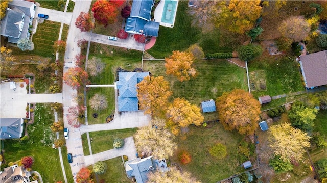 bird's eye view