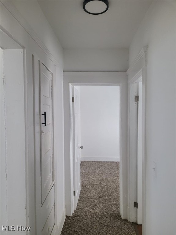 hallway with carpet flooring