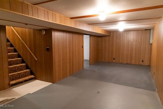 basement with wooden walls