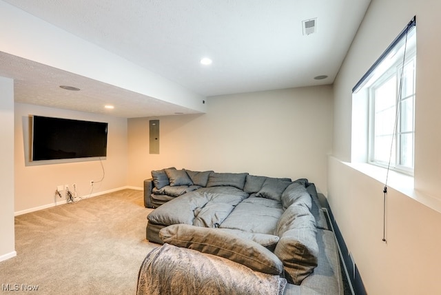 carpeted living room featuring electric panel and a healthy amount of sunlight