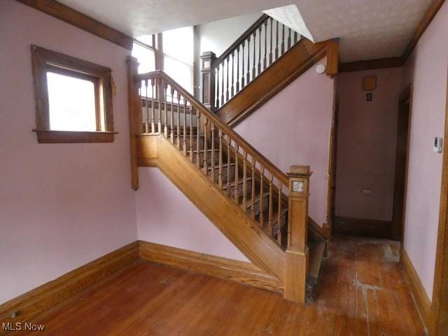 staircase featuring hardwood / wood-style flooring