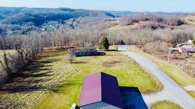 drone / aerial view featuring a mountain view and a rural view