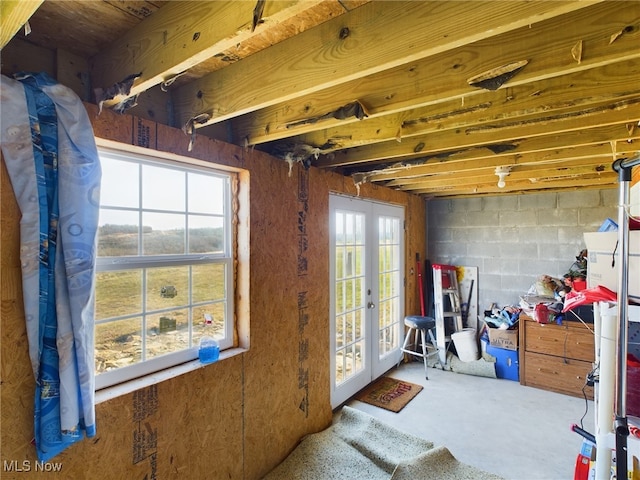 basement featuring french doors