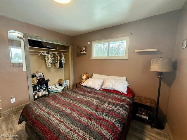 bedroom featuring wood-type flooring and a closet