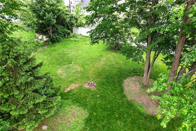 6301 Fiesta Ct, Lorain, OH 44053 - view of yard