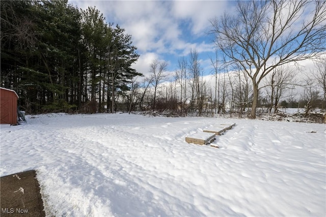 view of snowy yard