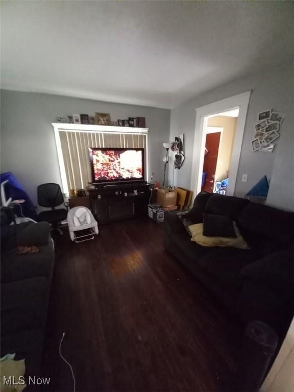 living room with hardwood / wood-style flooring