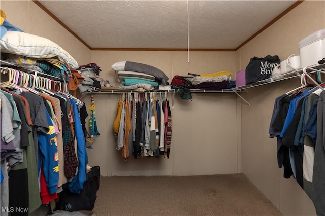 walk in closet with carpet floors