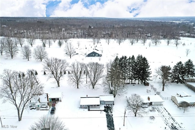 view of snowy aerial view