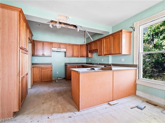6114 W Clinton Ave, Cleveland, OH 44102 - kitchen featuring under cabinet range hood, a peninsula, light wood-style flooring, and brown cabinets