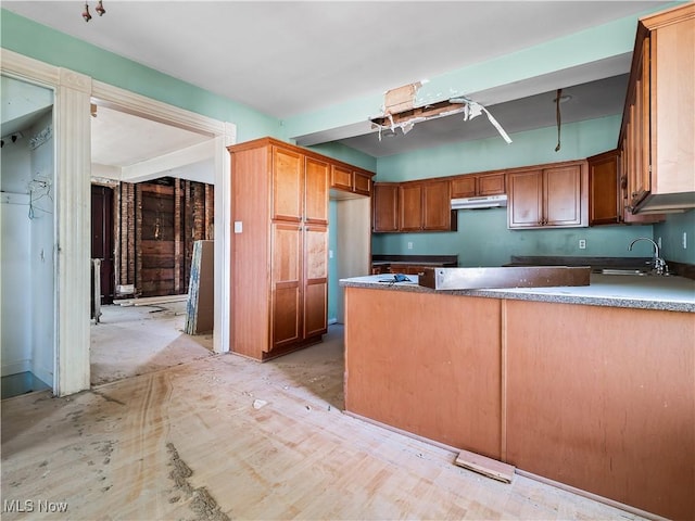 6114 W Clinton Ave, Cleveland, OH 44102 - kitchen featuring under cabinet range hood, a peninsula, and brown cabinets