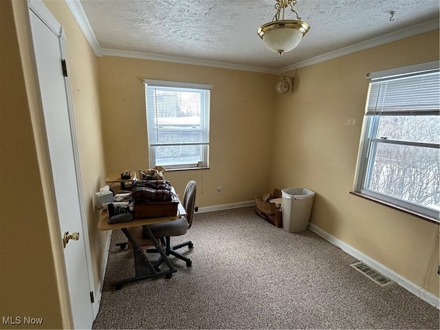 carpeted office space with a textured ceiling and crown molding