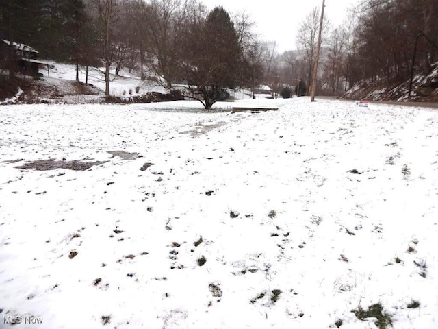 view of yard layered in snow