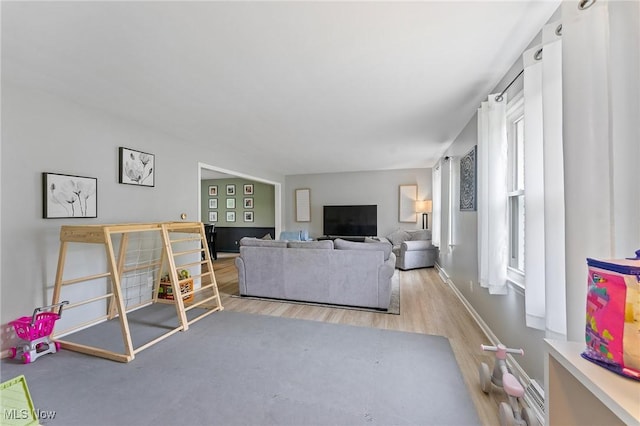 living room featuring light hardwood / wood-style floors