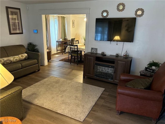 living room featuring dark hardwood / wood-style floors