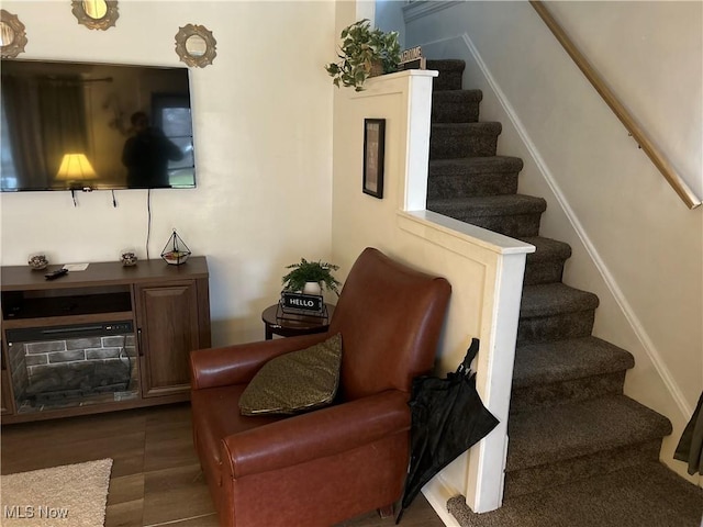 stairway featuring wood-type flooring