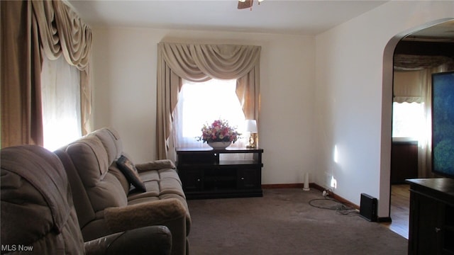 carpeted living room with ceiling fan and a healthy amount of sunlight