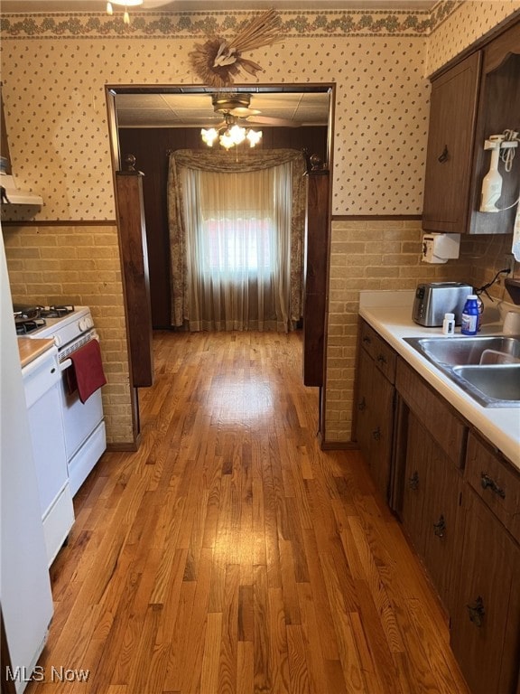 kitchen with dark brown cabinetry, white range with gas cooktop, ceiling fan, sink, and light hardwood / wood-style floors