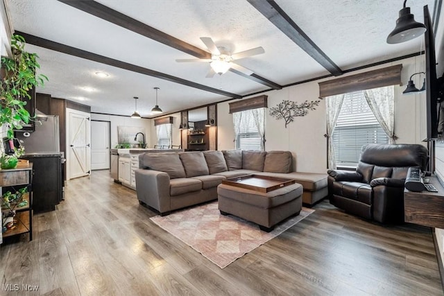 living room with beamed ceiling, a textured ceiling, light hardwood / wood-style flooring, and ceiling fan