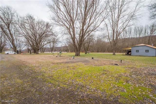 view of yard with an outbuilding