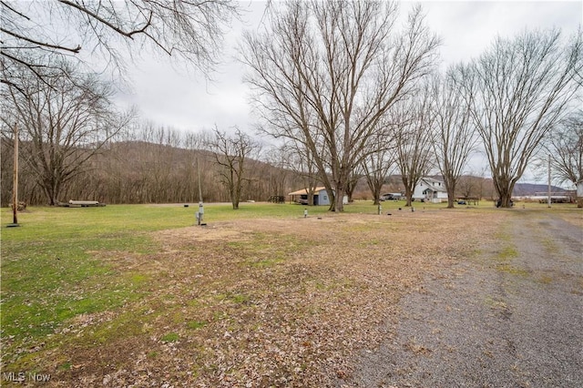 view of yard featuring a mountain view