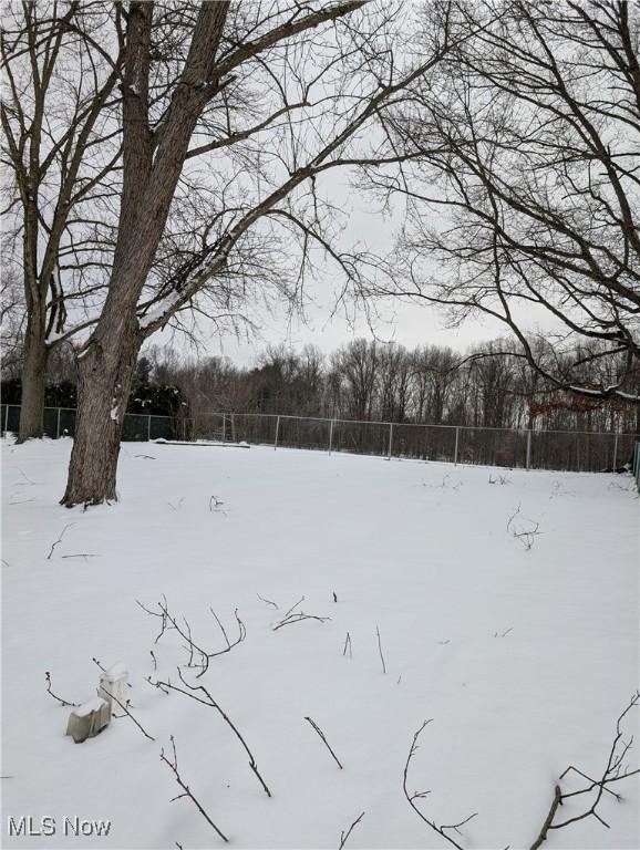 view of snowy yard