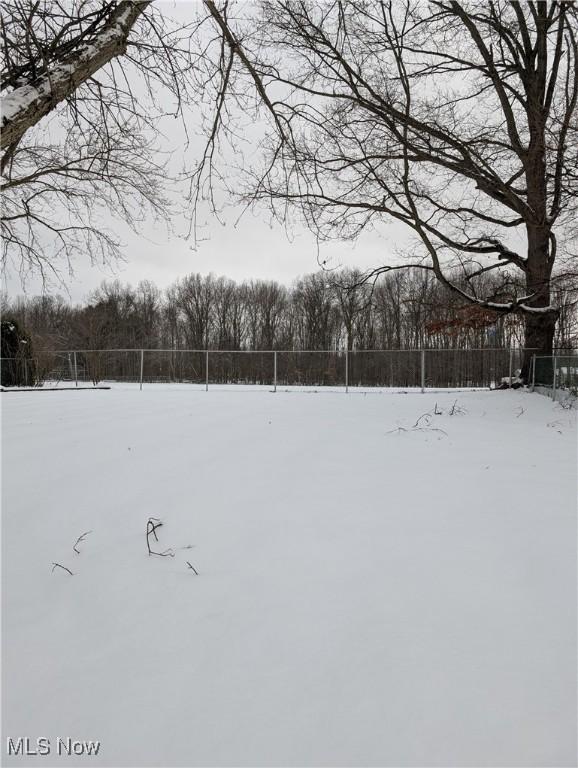 view of yard covered in snow