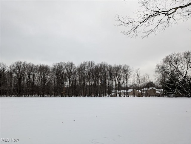 view of yard covered in snow