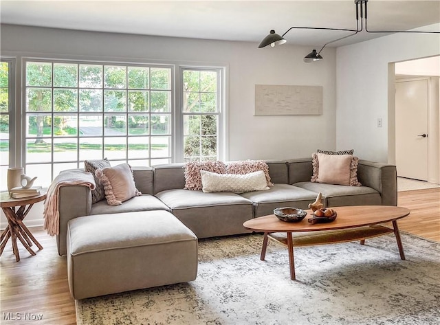 living room with light wood-type flooring