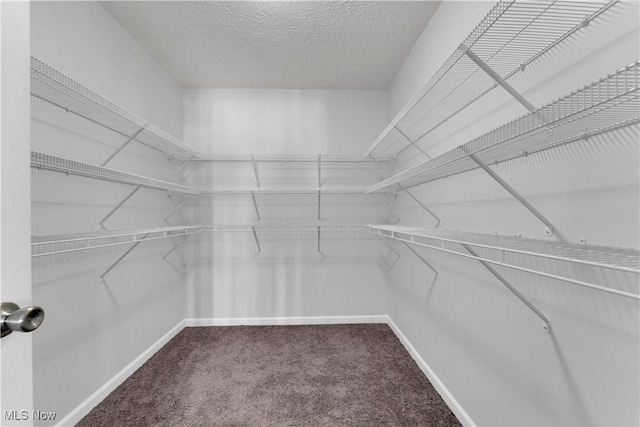 spacious closet with carpet floors