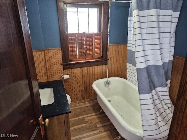 bathroom featuring hardwood / wood-style floors and vanity