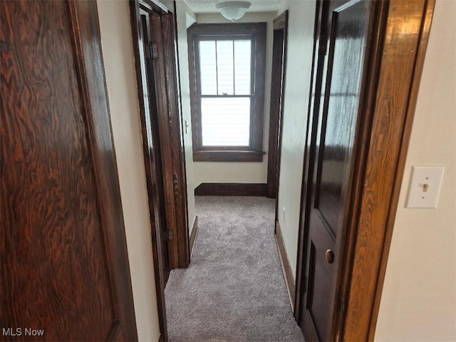 hallway featuring carpet floors