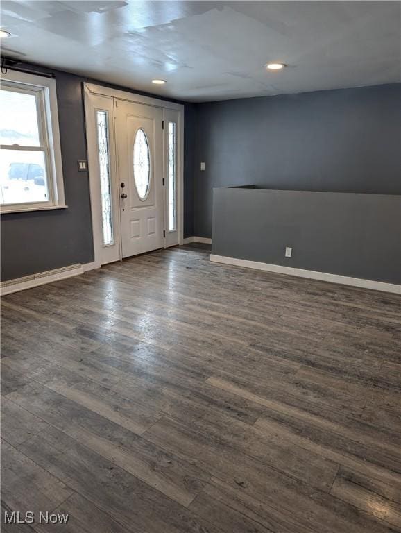 entryway featuring dark hardwood / wood-style flooring and a wealth of natural light