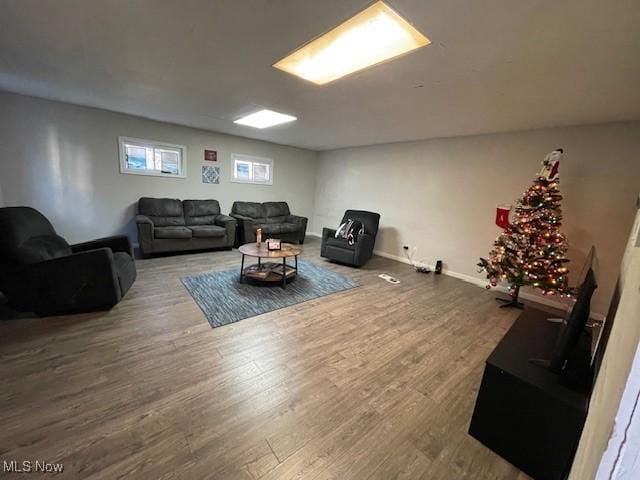 living room with wood-type flooring