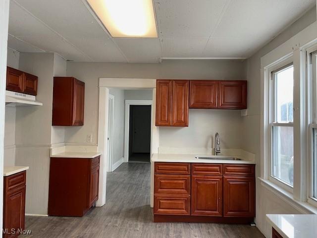 kitchen with dark hardwood / wood-style flooring and sink