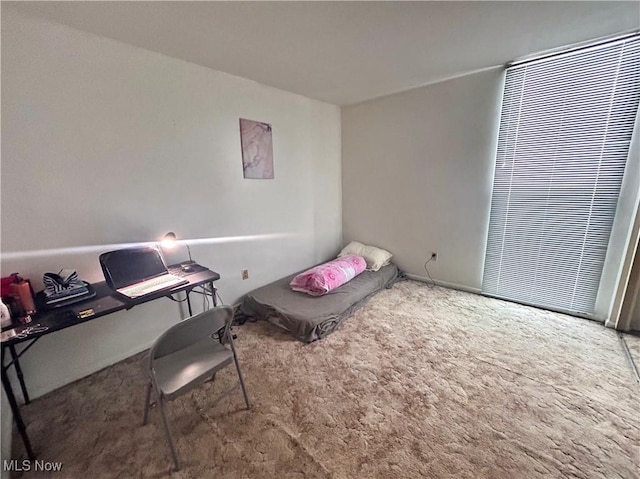 bedroom with carpet flooring