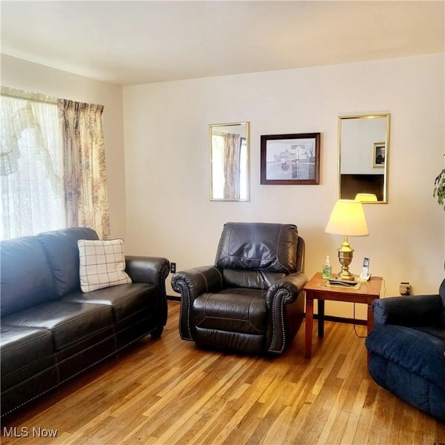 living room with hardwood / wood-style flooring