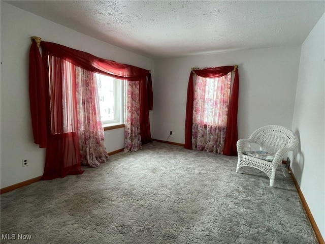 unfurnished room with a textured ceiling and carpet