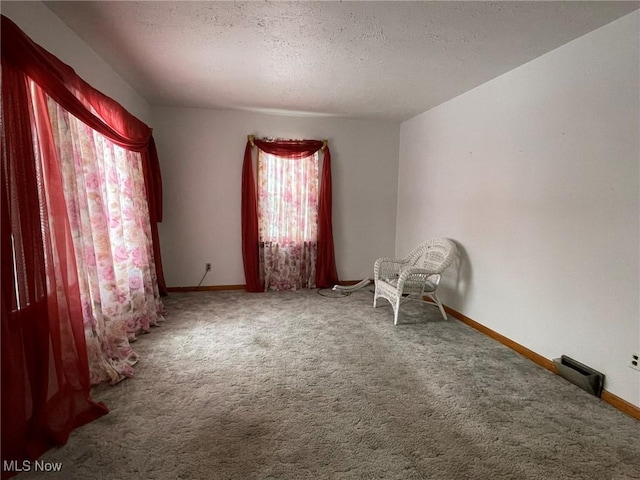 spare room with carpet flooring and a textured ceiling