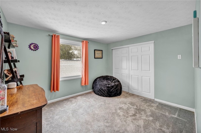 sitting room with carpet and a textured ceiling