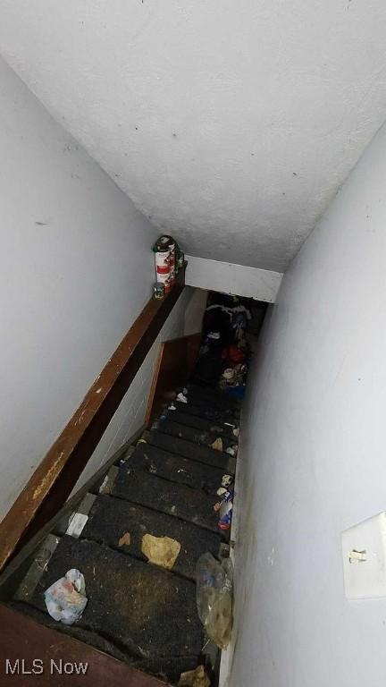 staircase featuring lofted ceiling