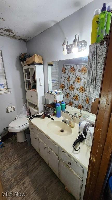 bathroom with vanity, hardwood / wood-style flooring, and toilet