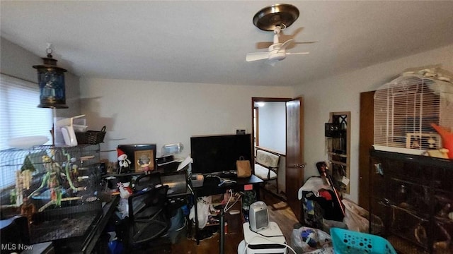 miscellaneous room featuring ceiling fan and hardwood / wood-style flooring