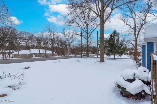 view of yard covered in snow