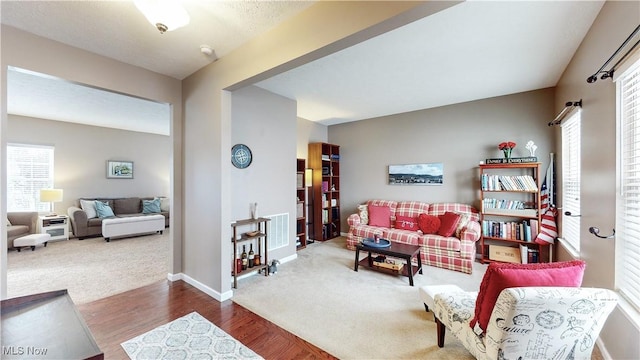 living room featuring wood-type flooring